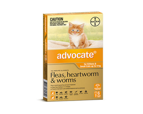 ADVOCATE CAT SMALL ORANGE UNDER 4KG 6PK