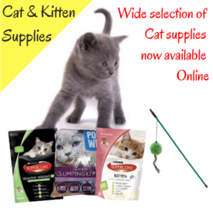 cat supplies online