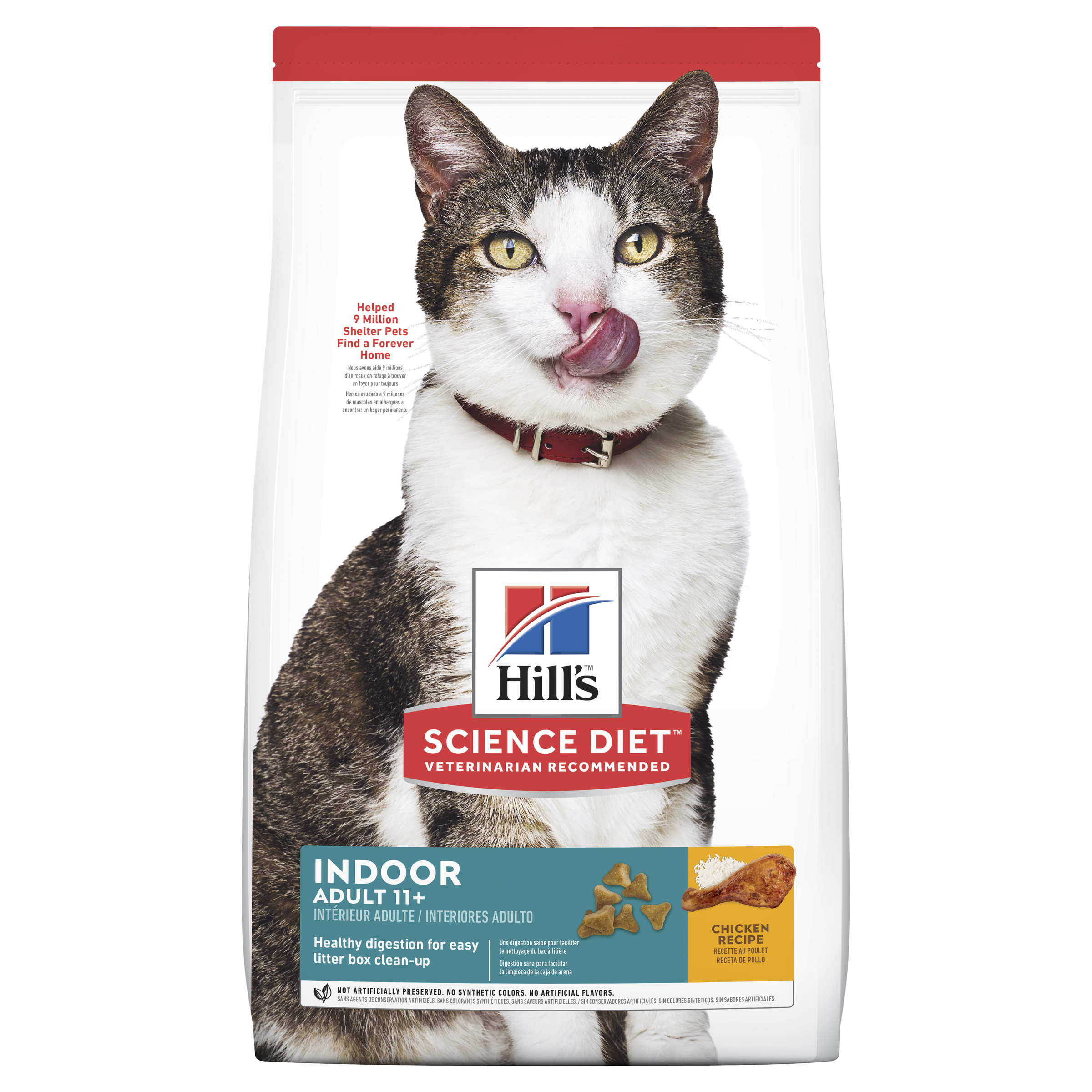 hill's science diet kitten food