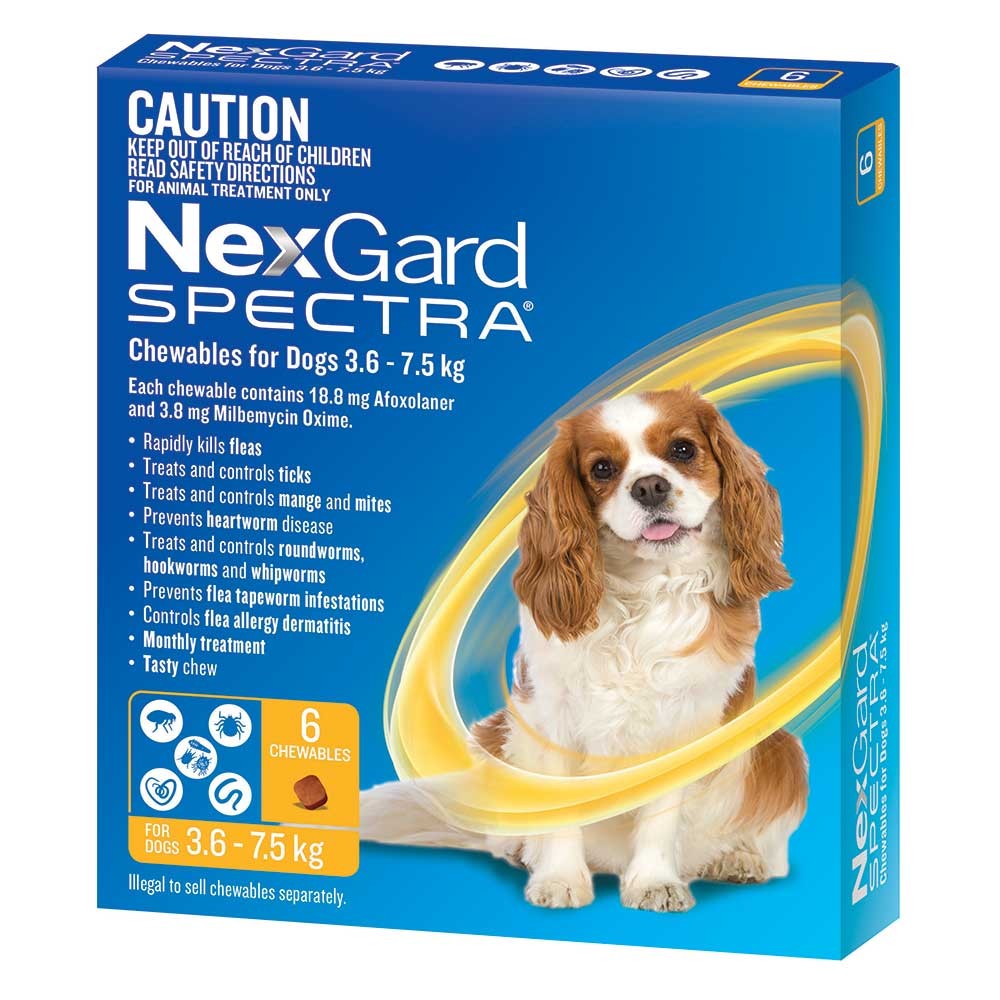 nexgard spectra dog flea treatment